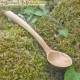 Medieval wood spoon : Ash